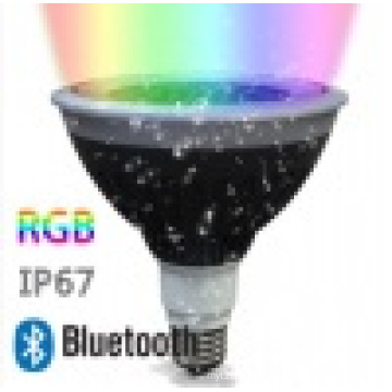 IP67 RGBW LED Landscape/ Garden Lighting PAR38